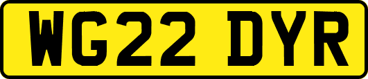 WG22DYR