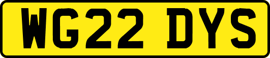 WG22DYS