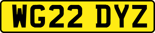 WG22DYZ