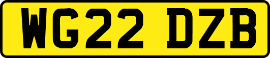 WG22DZB