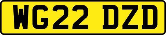 WG22DZD