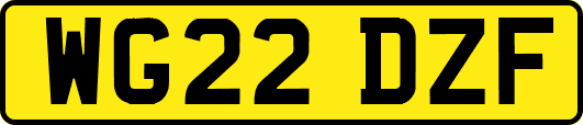 WG22DZF
