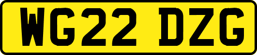 WG22DZG