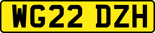WG22DZH