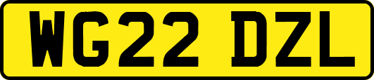 WG22DZL
