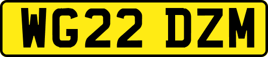 WG22DZM