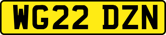 WG22DZN