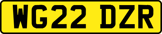 WG22DZR