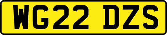 WG22DZS