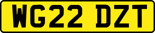 WG22DZT