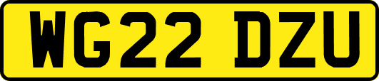 WG22DZU