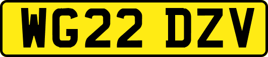 WG22DZV