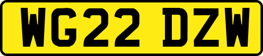 WG22DZW