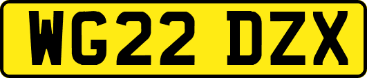 WG22DZX
