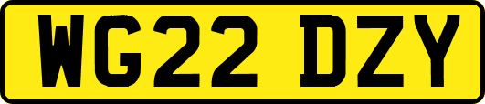 WG22DZY