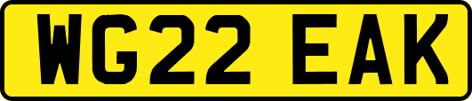 WG22EAK