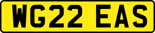 WG22EAS