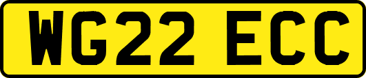 WG22ECC