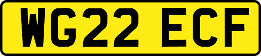 WG22ECF