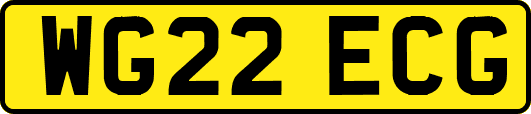 WG22ECG