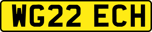 WG22ECH