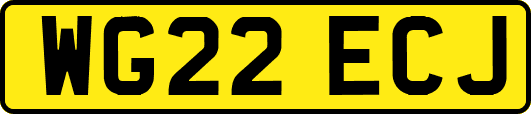 WG22ECJ