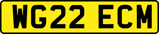 WG22ECM
