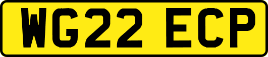 WG22ECP