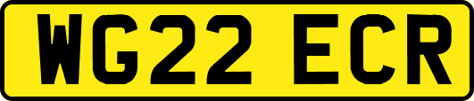WG22ECR