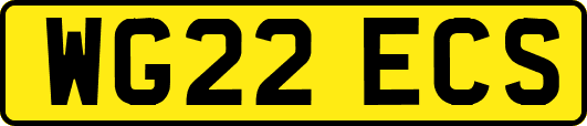 WG22ECS