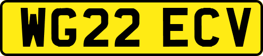WG22ECV