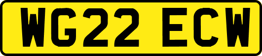 WG22ECW