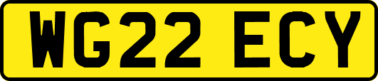 WG22ECY