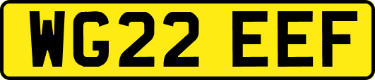 WG22EEF