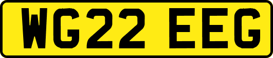 WG22EEG