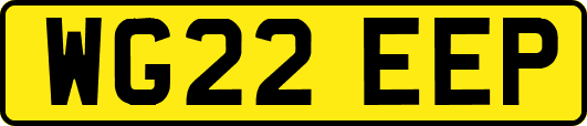 WG22EEP