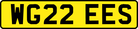 WG22EES