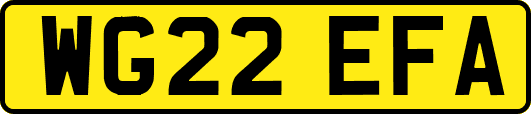 WG22EFA