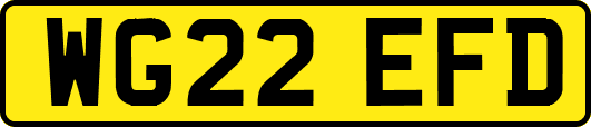 WG22EFD