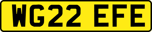 WG22EFE