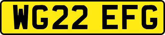 WG22EFG