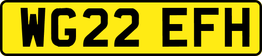 WG22EFH