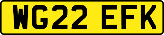 WG22EFK