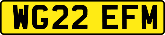 WG22EFM