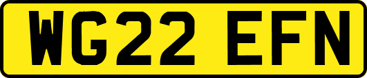 WG22EFN