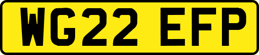 WG22EFP