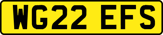 WG22EFS