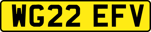 WG22EFV
