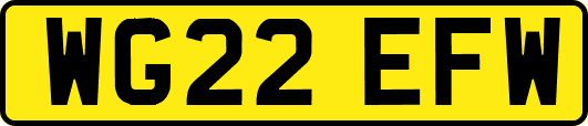 WG22EFW