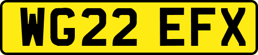 WG22EFX